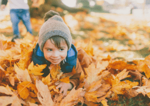 Fall Activities Blog Update