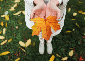 ThankfulnessGratitudeBlog Updated2023